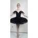 Ballet costumes