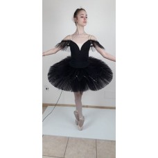 Ballet costumes