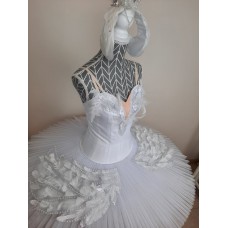 Ballet costumes