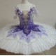 Lilac Fairy Costume