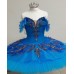 Bluebird Costume