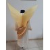 Angel Costume