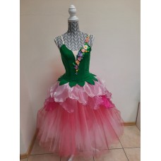 Ballet costumes Ballet costumes