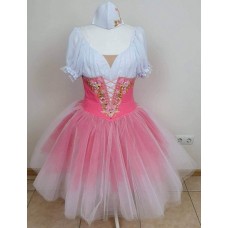 Ballet costumes