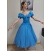 Cinderella costume Cinderella costume