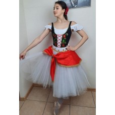 Gypsy costume