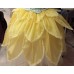 Ballet costumes