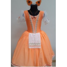 Squirrel costume Squirrel costume