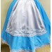 Alice in Wonderland Costume Alice in Wonderland Costume
