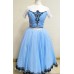 Alice in Wonderland Costume